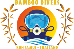 The Bamboo Divers